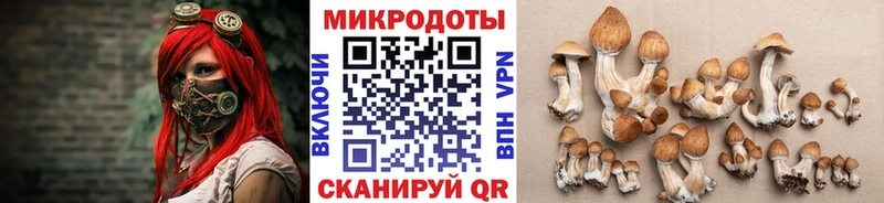 Купить где Новозыбков Псилоцибиновые грибы ЛСД
